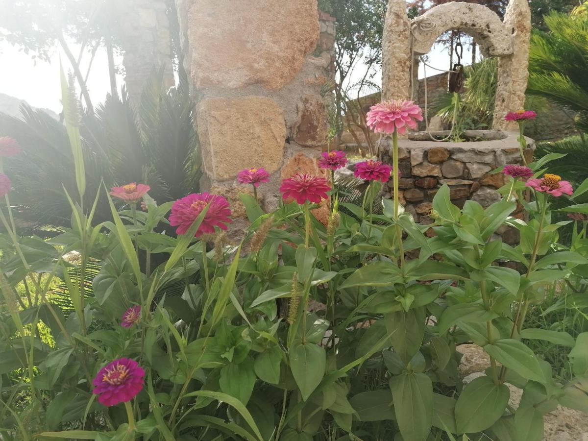 Villa Nonna Nina Capaci Exteriér fotografie